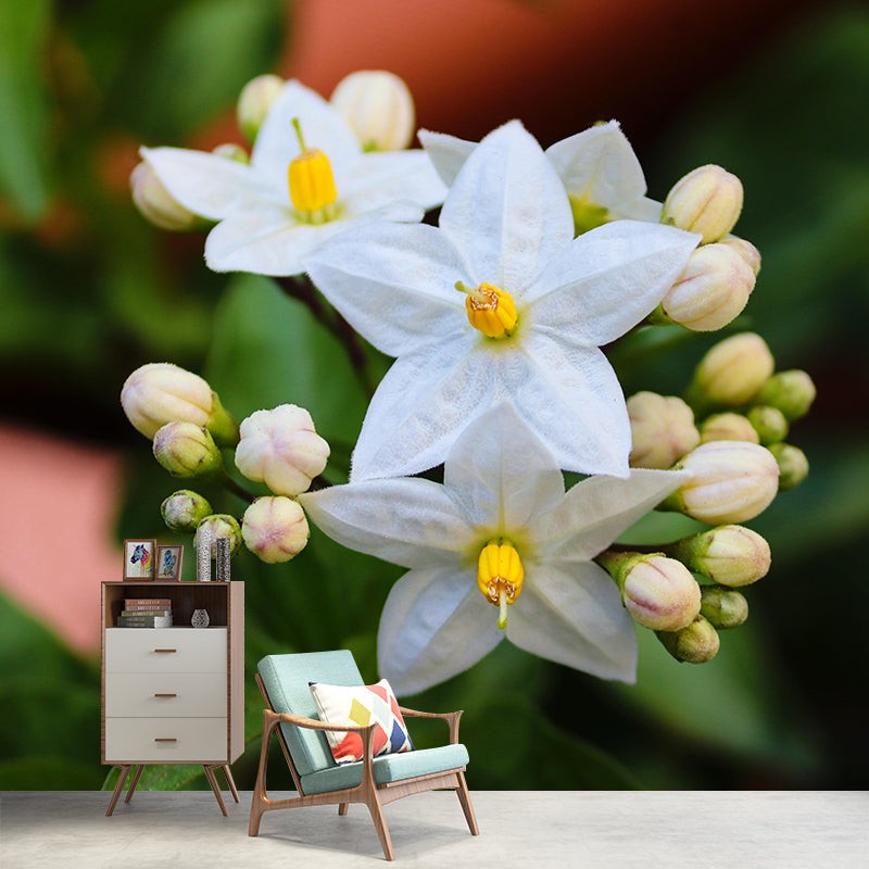 Photography Blossoming Jasmine Mural Decal Mildew Resistant Whole Wall Decor for Girls Room