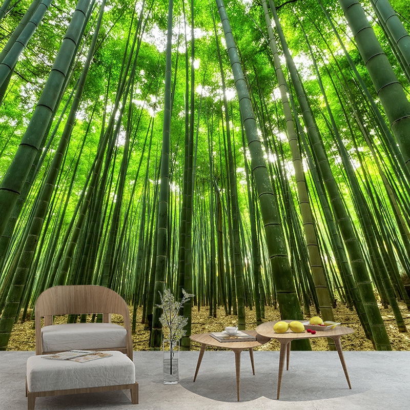 Light Color Bamboo Landscape Mural Moisture Resistant Modern Style Bedroom Wall Art