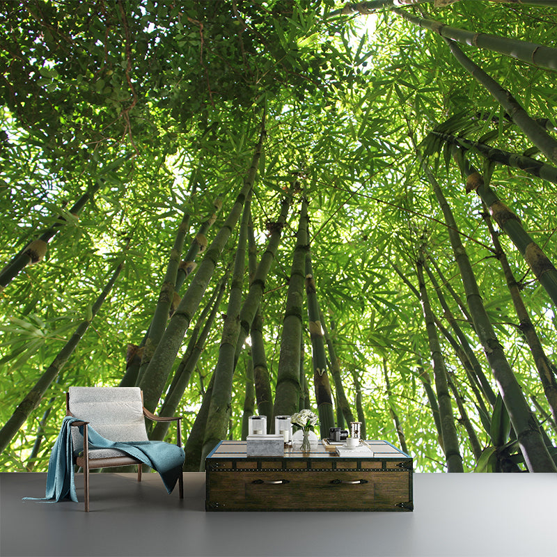 Light Color Bamboo Landscape Mural Moisture Resistant Modern Style Bedroom Wall Art