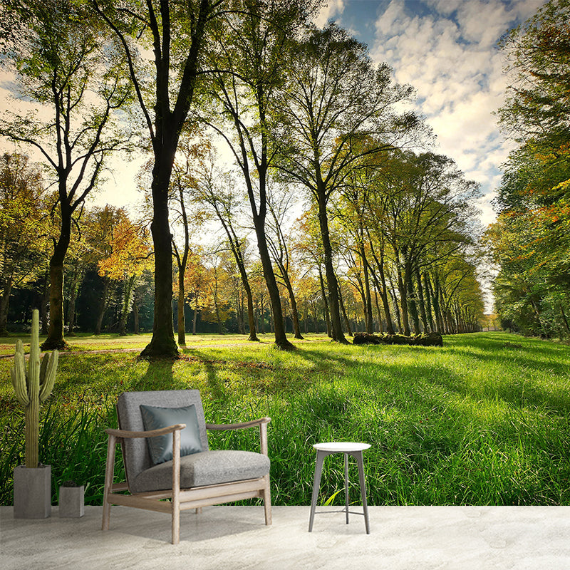 Forest Full of Spring Mural Wallpaper for Decoration Modern Living Room Wall Covering