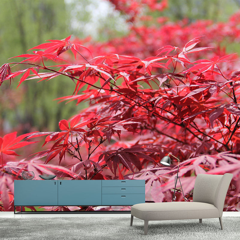 Soft Color Maple Pattern Mural Moisture Resistant Modern Style Bedroom Wall Art