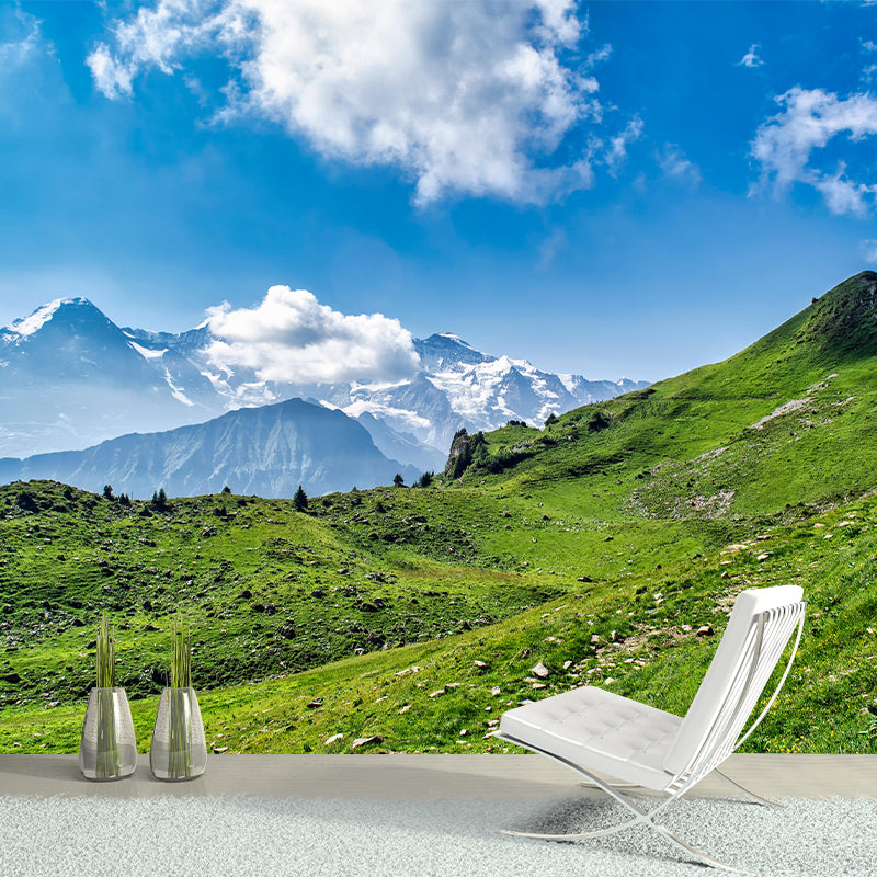 Horizontal Photography Style Alps Mural Modernism Wall Covering for Accent Wall