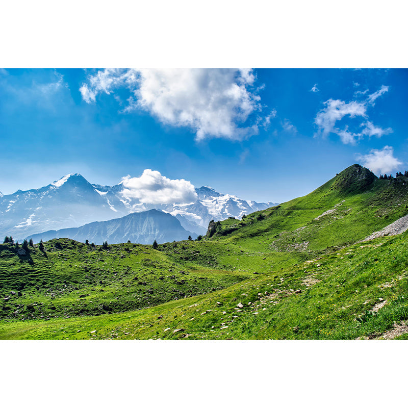 Horizontal Photography Style Alps Mural Modernism Wall Covering for Accent Wall