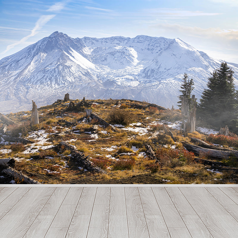 St Helens Mountain Mural Modern Style Mildew Resistant Living Room Wall Covering