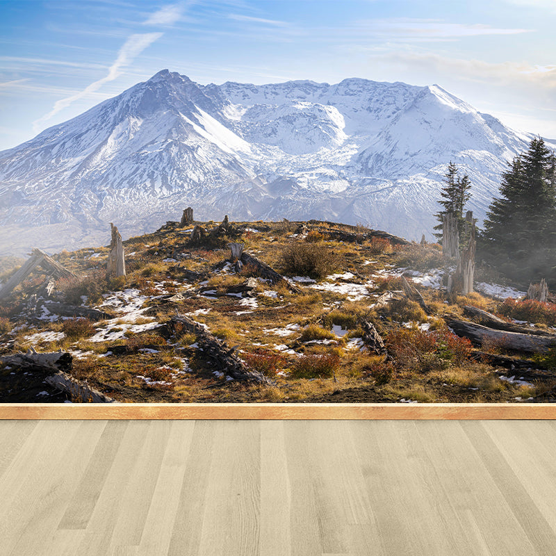 St Helens Mountain Mural Modern Style Mildew Resistant Living Room Wall Covering