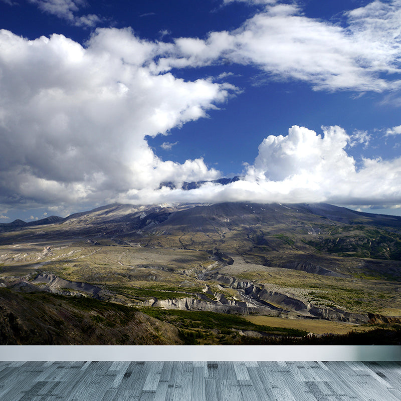 St Helens Mountain Mural Modern Style Mildew Resistant Living Room Wall Covering