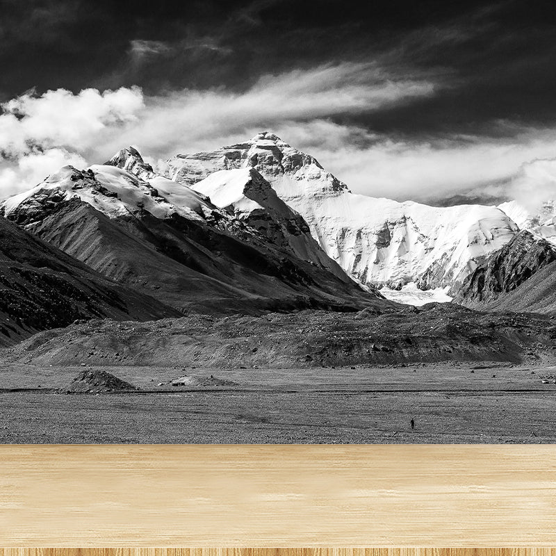 Mount Everest Mural Contemporary Mildew Resistant Family Room Wall Covering