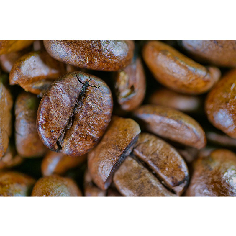 Coffee Beans Mural Wallpaper in Brown Contemporary Wall Covering for Coffee Shop