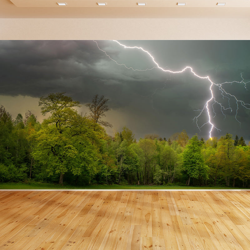 Contemporary Wallpaper Mural with Lightning Pattern Moisture Resistant Wall Covering for Wall Decor
