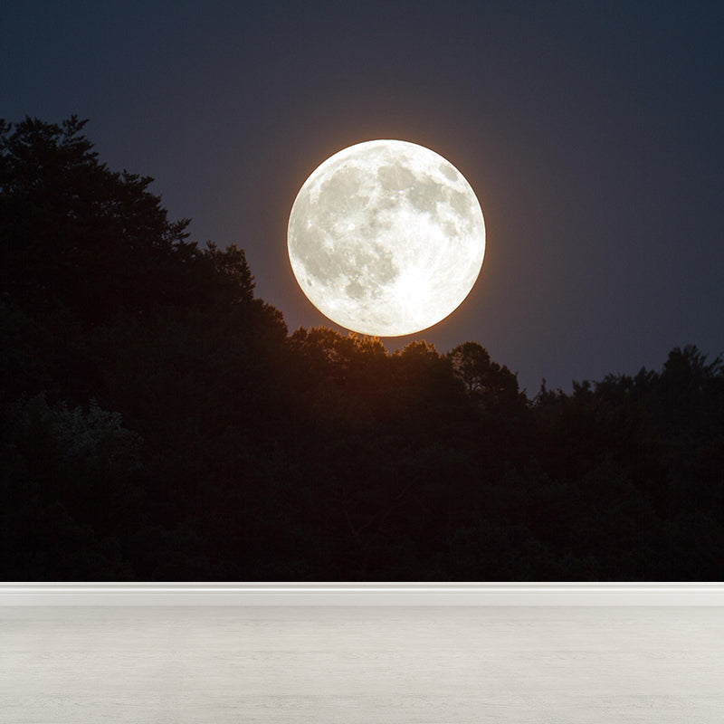 Full Moon View Wallpaper Mural Moisture Resistant Wall Covering for Accent Wall