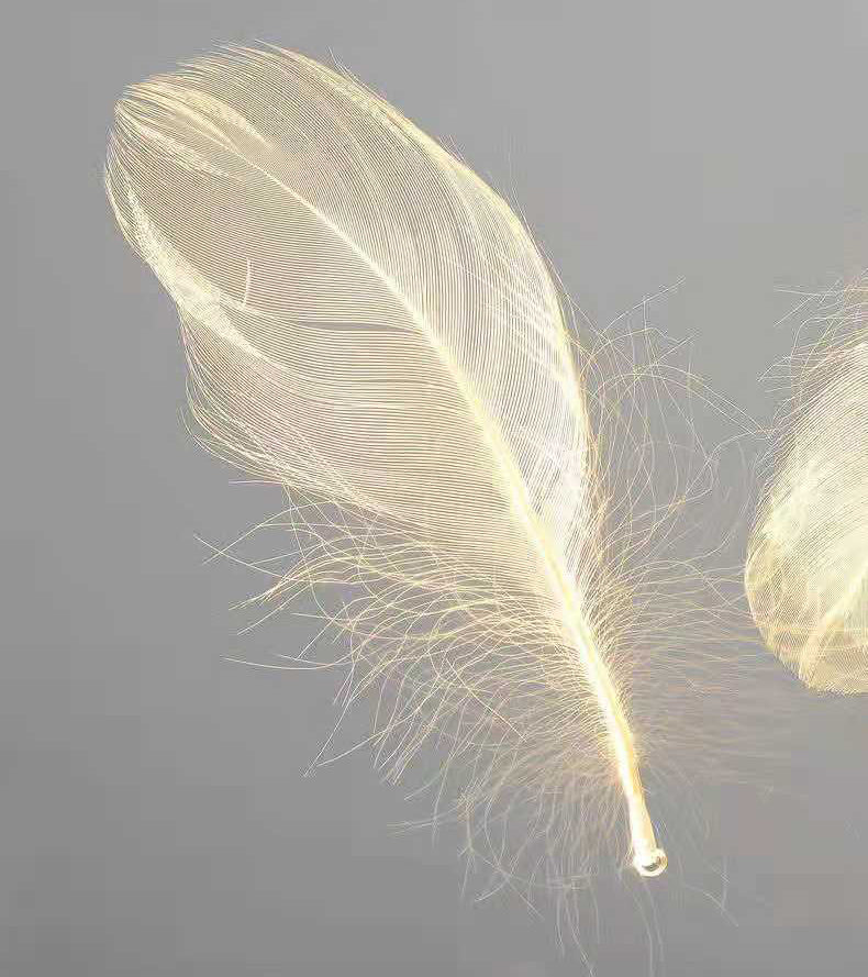 Coeur encastré luminaire chambre simple acrylique plafonnier