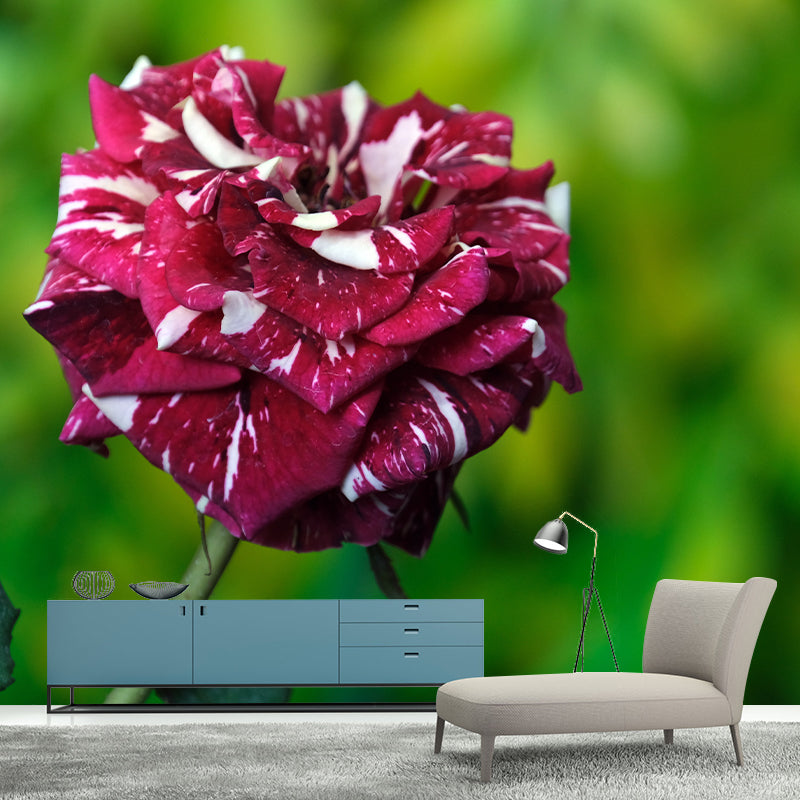 Blossoming Rose Mural Wallpaper Flower Wall Decor for Bedroom Living Room