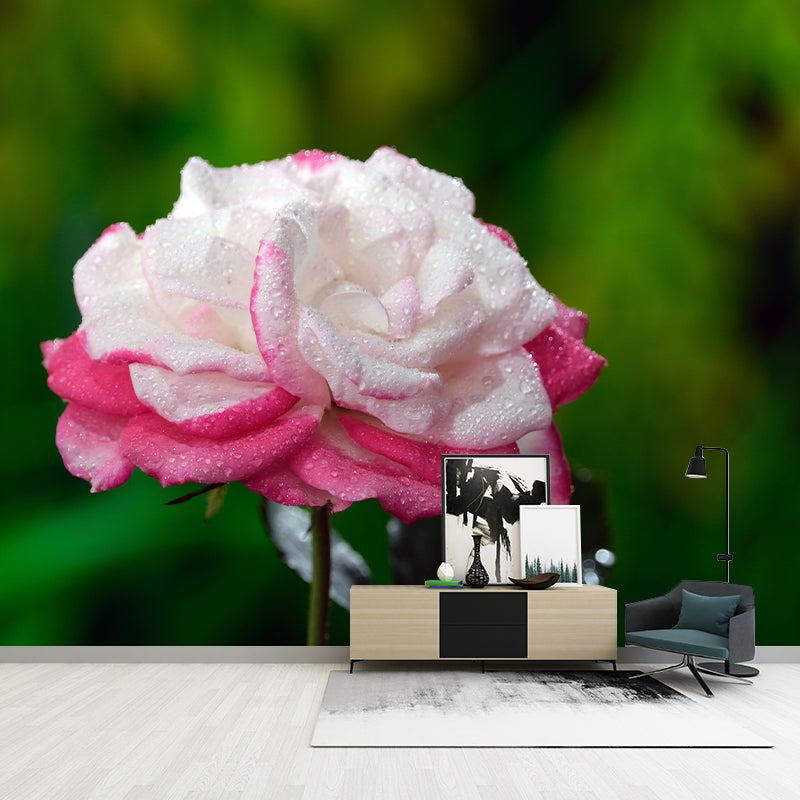 Blossoming Rose Mural Wallpaper Flower Wall Decor for Bedroom Living Room