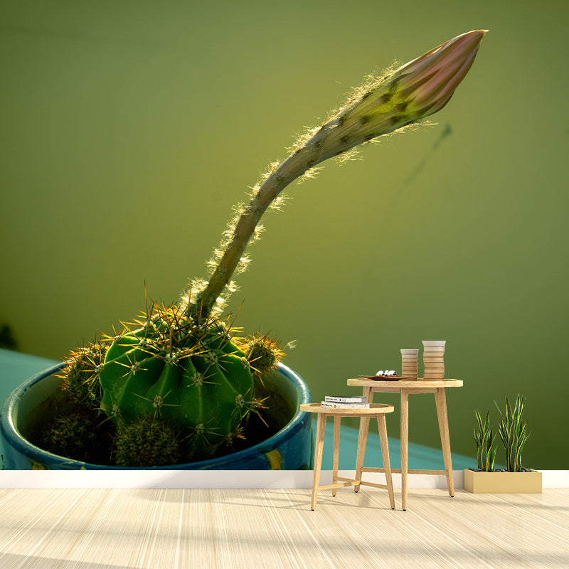 Green Cactus Mural Wallpaper Contemporary Home Decoration for Living Room
