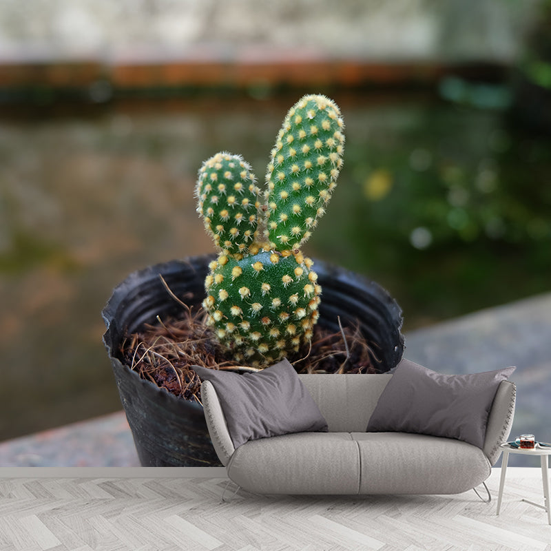 Green Cactus Mural Wallpaper Contemporary Home Decoration for Living Room