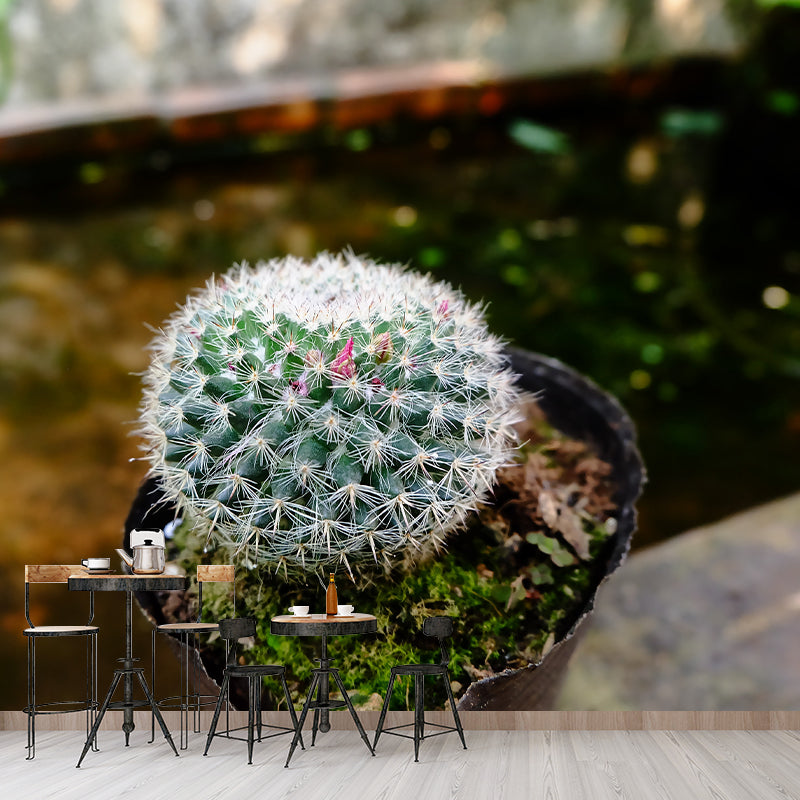Green Cactus Mural Wallpaper Contemporary Home Decoration for Living Room