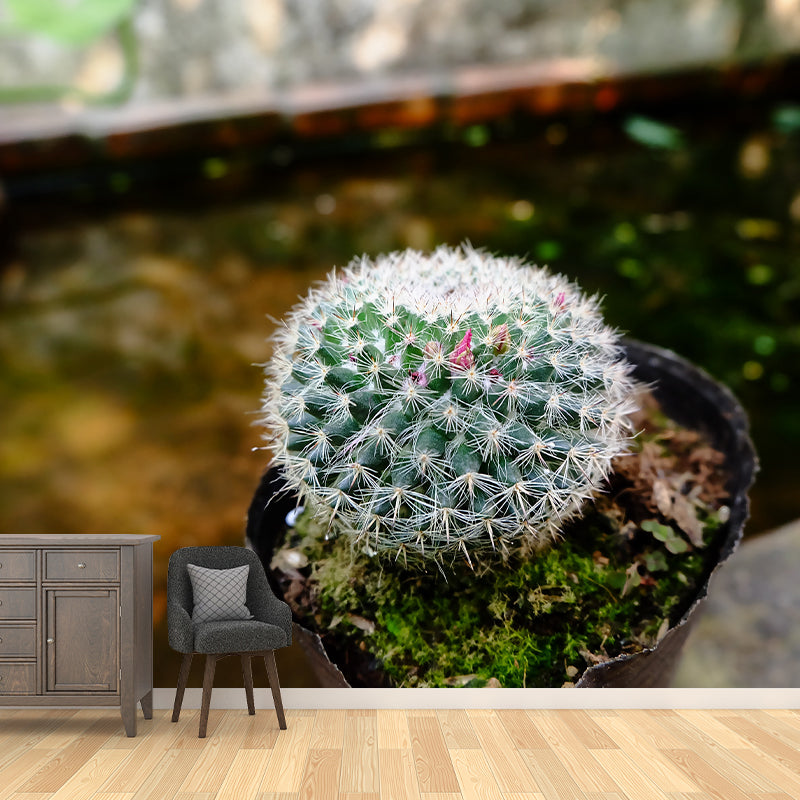 Green Cactus Mural Wallpaper Contemporary Home Decoration for Living Room