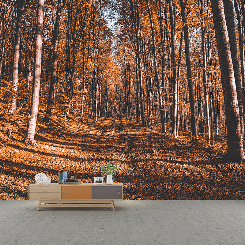 Contemporary Forest Landscape Mural Wall Covering for Bedroom, Waterproofing