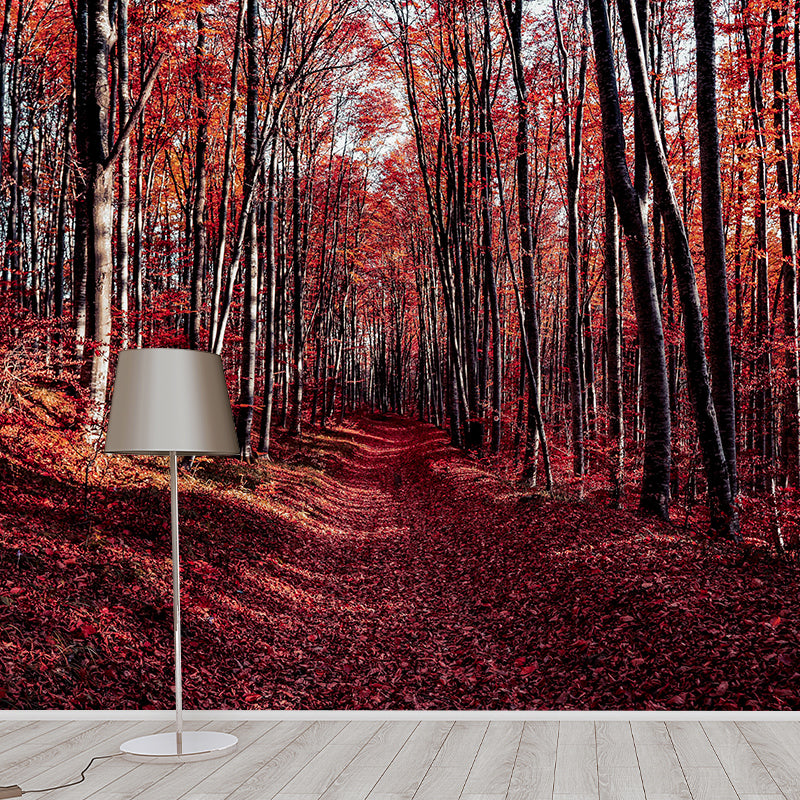 Contemporary Forest Landscape Mural Wall Covering for Bedroom, Waterproofing