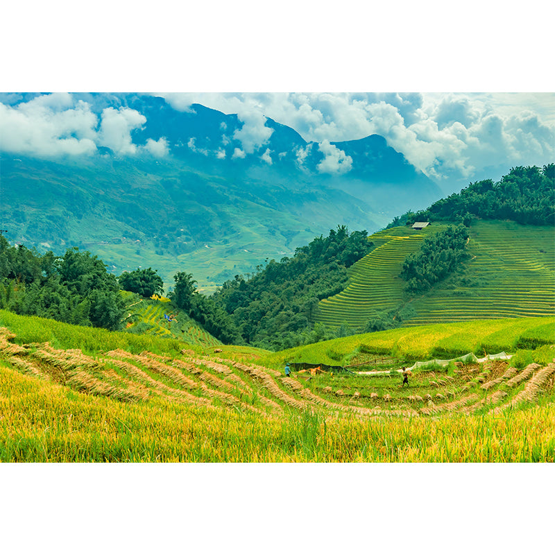 Wheat Field Mural Stain Resistant Wall Art for Dining Room, Optional Size