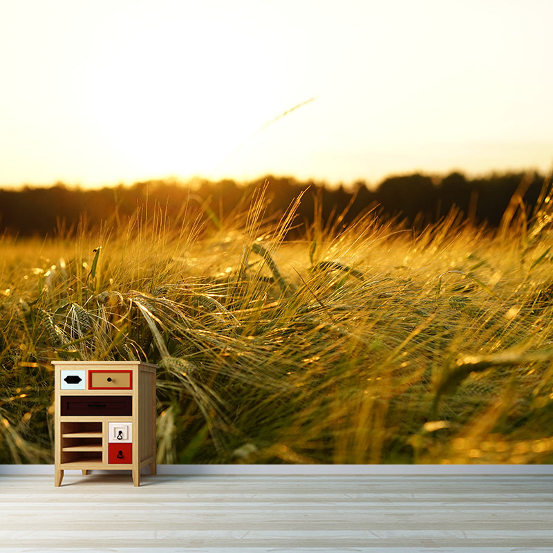 Contemporary Wheat Field Wall Mural Soft Color Waterproofing Wall Art for Gust Room