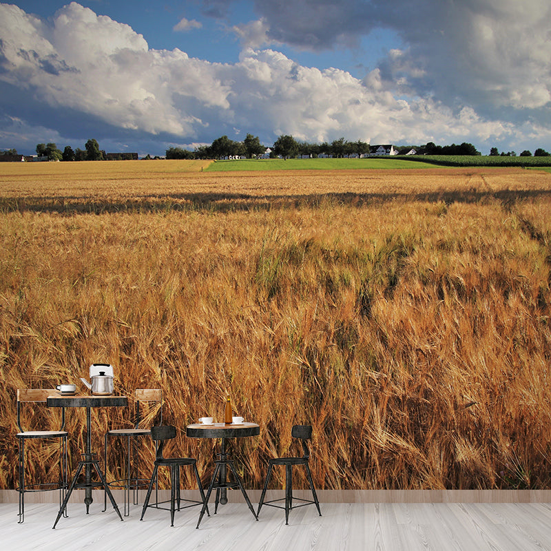 Contemporary Wheat Field Wall Mural Soft Color Waterproofing Wall Art for Gust Room