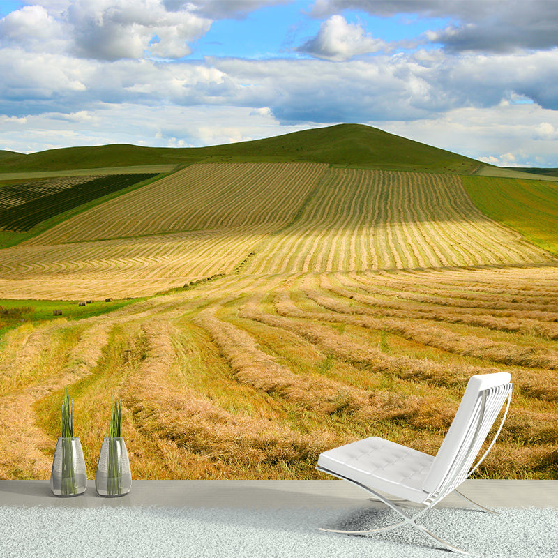 Contemporary Wheat Field Wall Mural Soft Color Waterproofing Wall Art for Gust Room