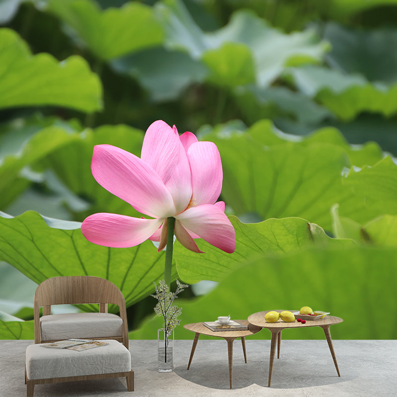 Pure Lotus Mural Wallpaper in Pink Bedroom Decorative Wall Covering, Custom-Printed