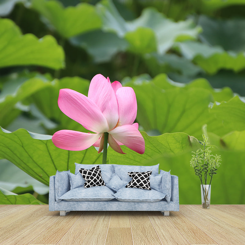 Pure Lotus Mural Wallpaper in Pink Bedroom Decorative Wall Covering, Custom-Printed