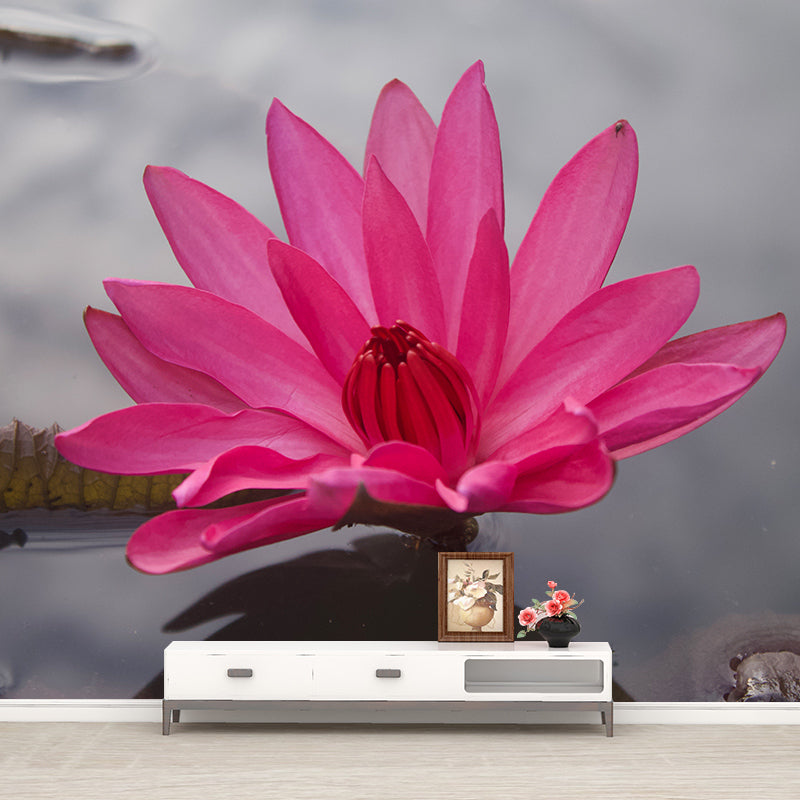 Blooming Flower Wall Mural Water-Resistant Contemporary Wall Covering for Bedroom