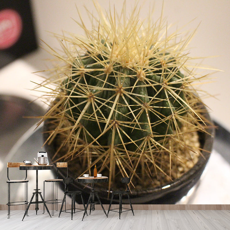 Tropical Cactus Mural Wallpaper Water Resistant Wall Decor for Bedroom