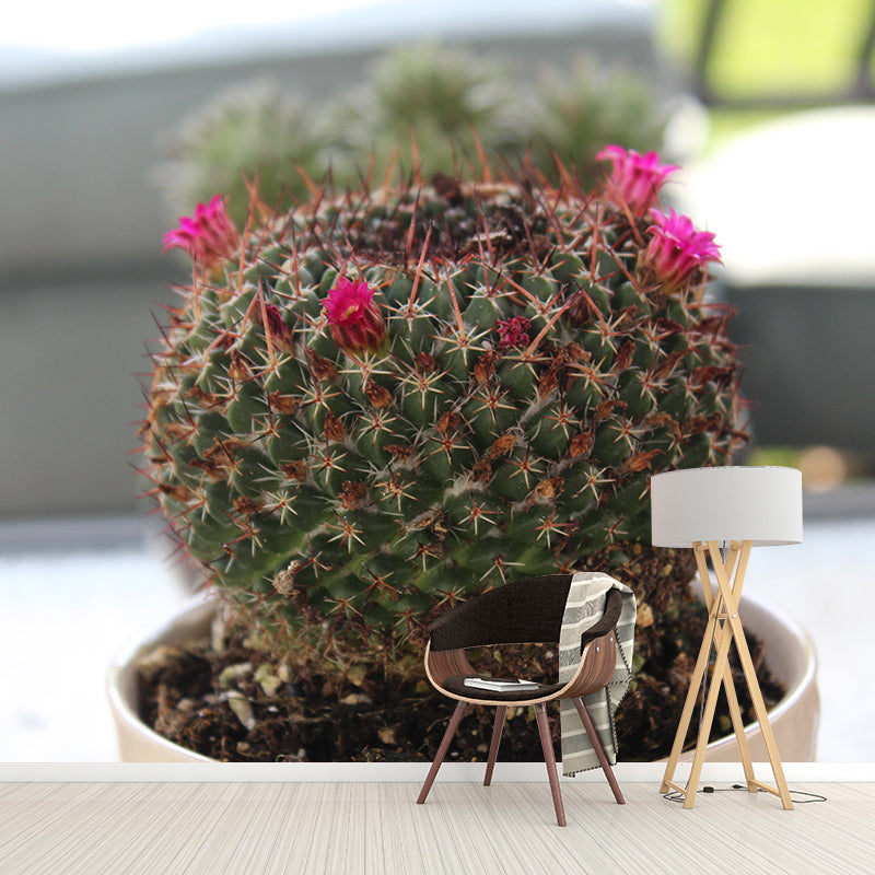 Tropical Cactus Mural Wallpaper Water Resistant Wall Decor for Bedroom