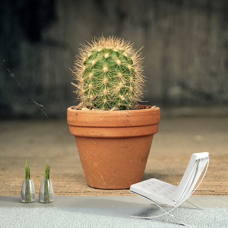 Tropical Cactus Mural Wallpaper Water Resistant Wall Decor for Bedroom