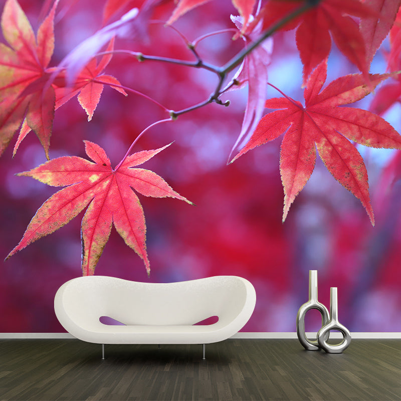 Fall Leaves Mural Wallpaper Moisture Resistant Wall Decor for Sleeping Room