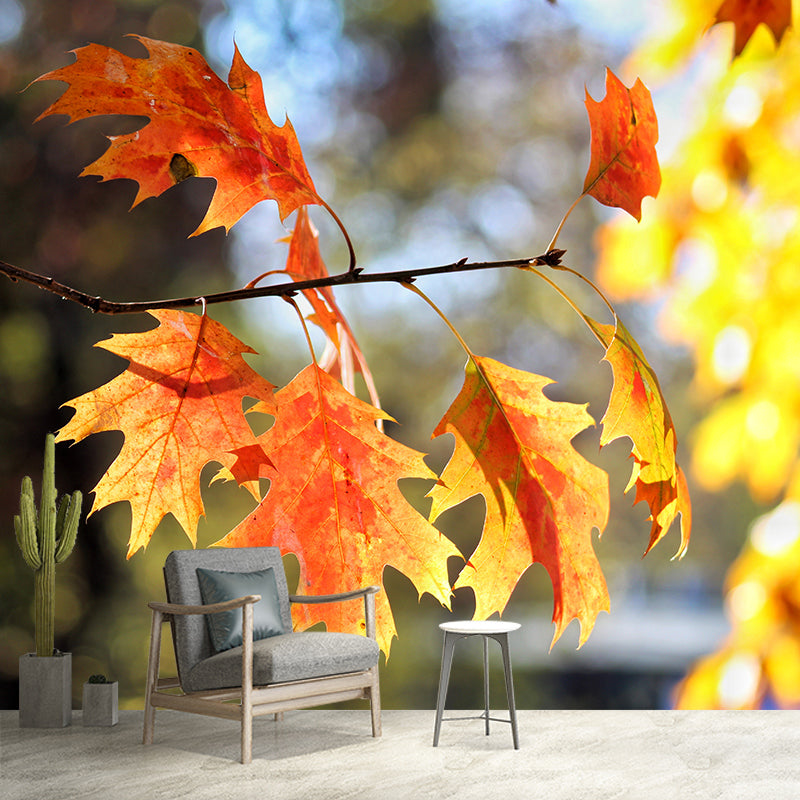 Fall Leaves Mural Wallpaper Moisture Resistant Wall Decor for Sleeping Room