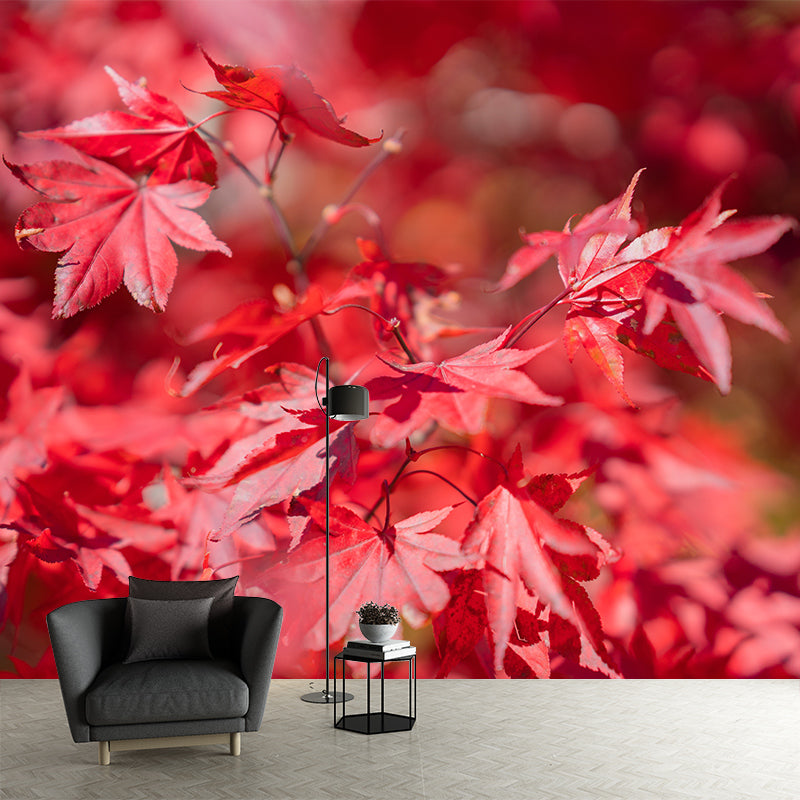 Fall Leaves Mural Wallpaper Moisture Resistant Wall Decor for Sleeping Room