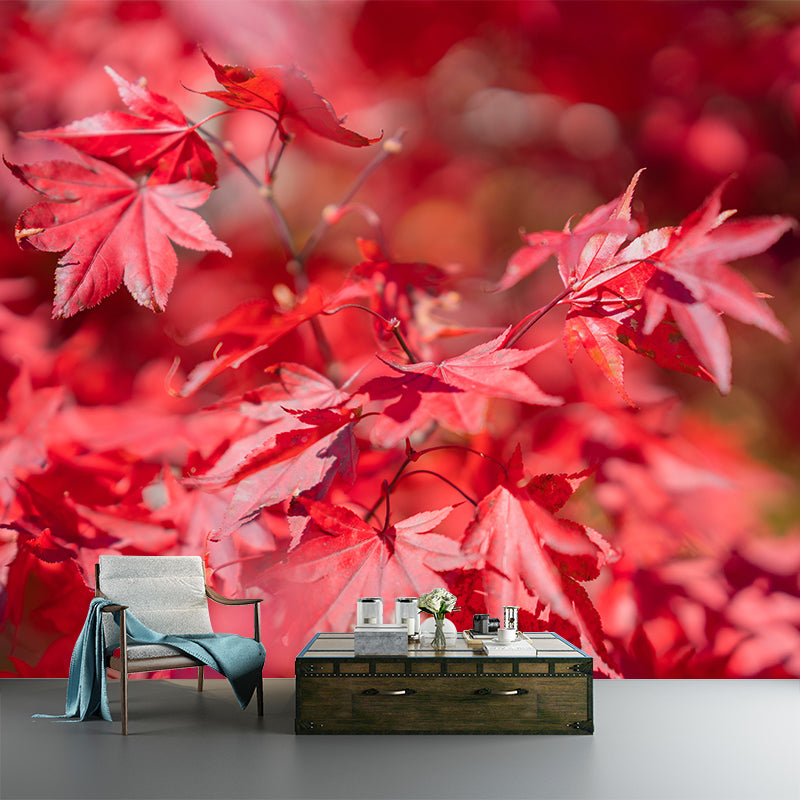 Fall Leaves Mural Wallpaper Moisture Resistant Wall Decor for Sleeping Room