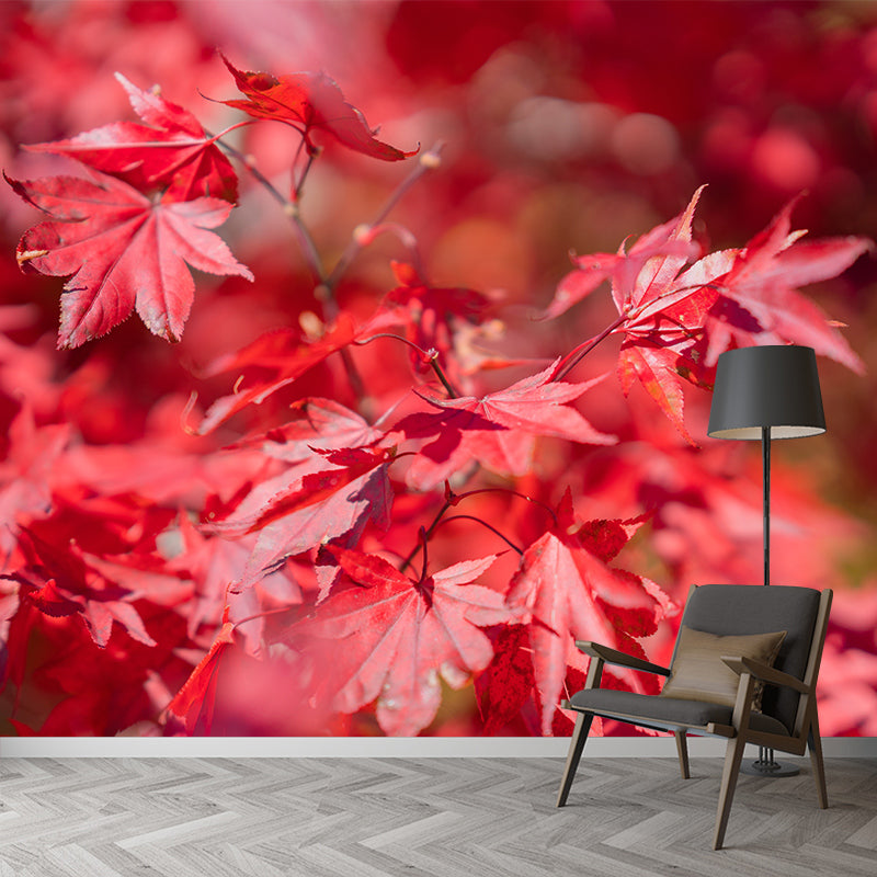 Fall Leaves Mural Wallpaper Moisture Resistant Wall Decor for Sleeping Room
