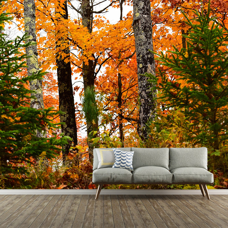 Forest Mural Wallpaper Scenery Modern Waterproof Wall Art for Living Room