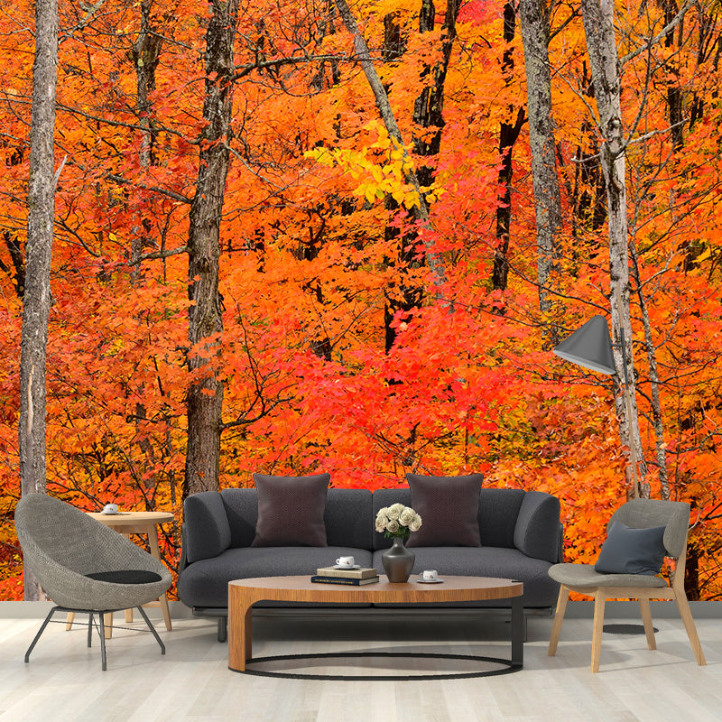 Forest Mural Wallpaper Scenery Modern Waterproof Wall Art for Living Room