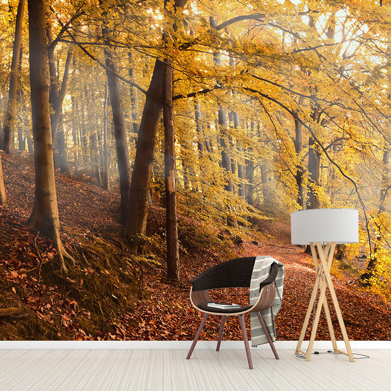 Forest Mural Wallpaper Scenery Modern Waterproof Wall Art for Living Room