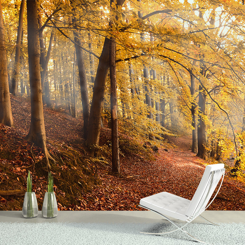 Forest Mural Wallpaper Scenery Modern Waterproof Wall Art for Living Room