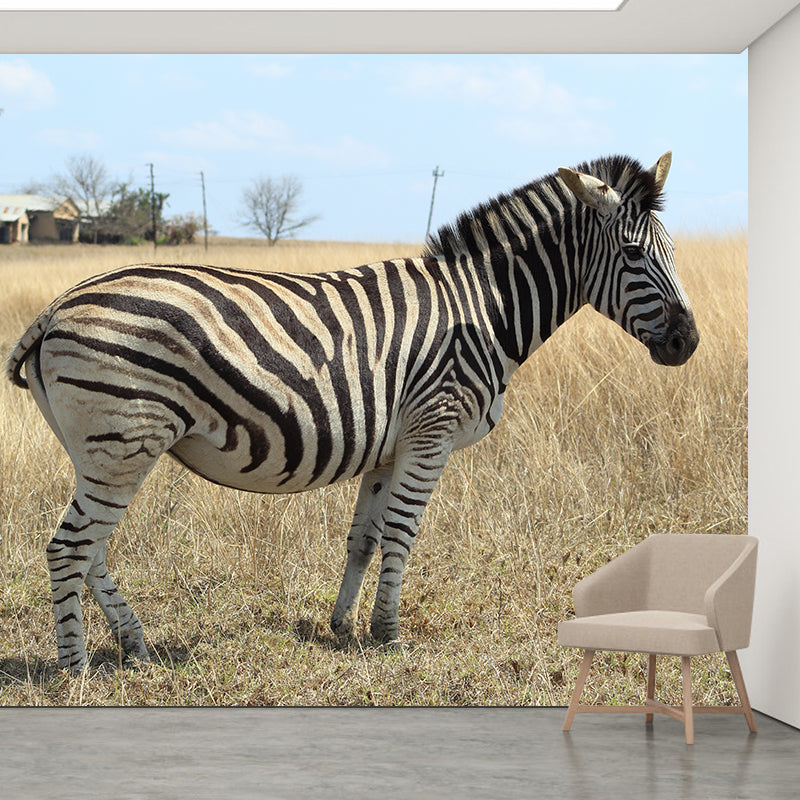Black and White Zebra Mural for Sleeping Room Waterproof, Made to Measure