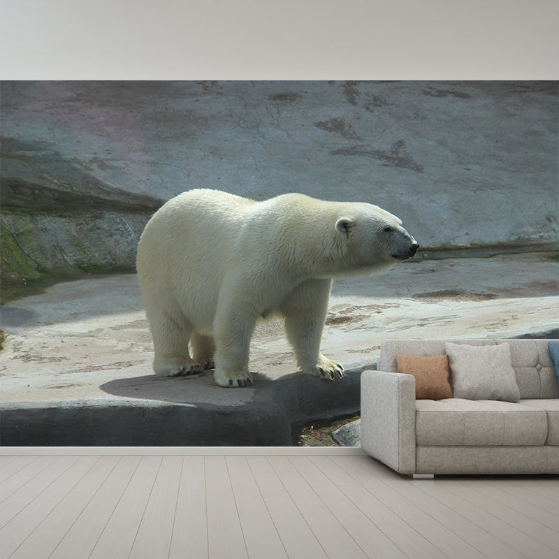 Photography Mural Wall Decor Polar Bear Mildew Resistant Living Room Wall Mural Wall Art