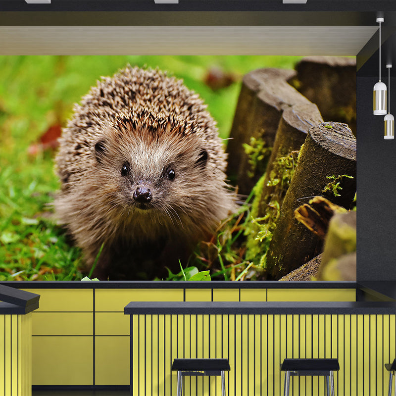 Photography Mural Wall Decor Hedgehog Mildew Resistant Living Room Wall Mural Wall Art