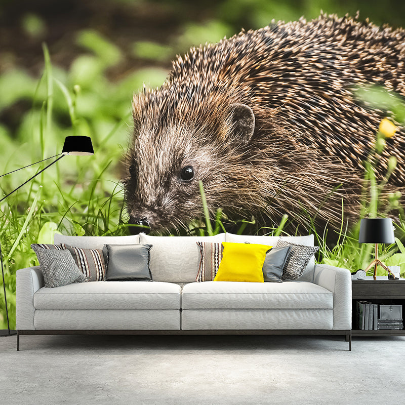 Photography Mural Wall Decor Hedgehog Mildew Resistant Living Room Wall Mural Wall Art