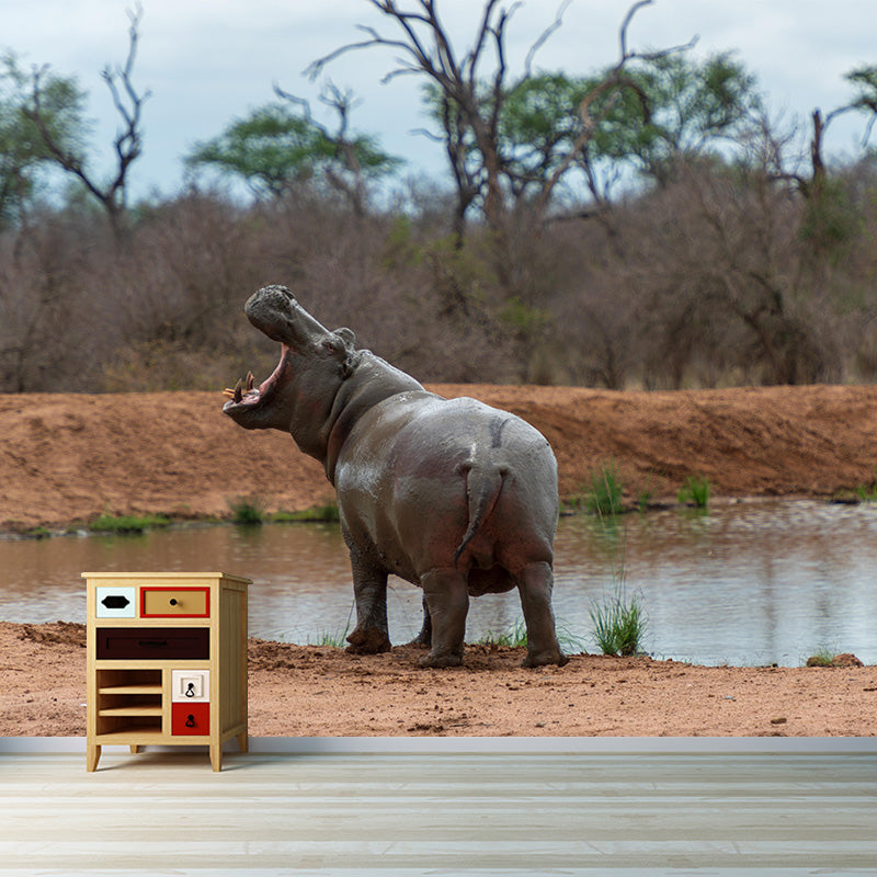 Photography Mural Wall Decor Hippo Mildew Resistant Living Room Wall Mural Wall Art