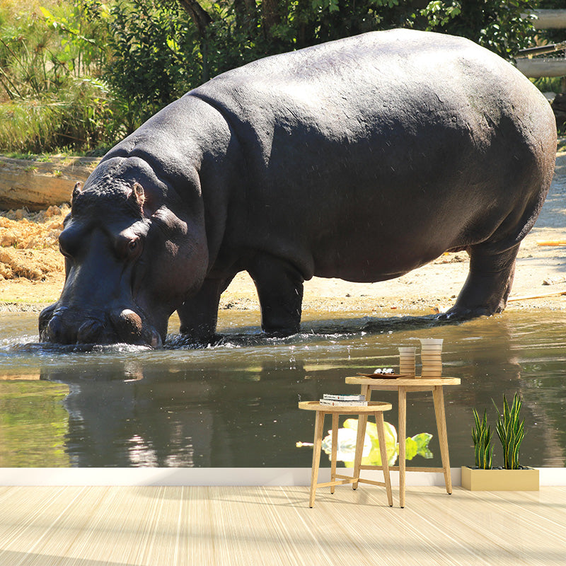 Photography Mural Wall Decor Hippo Mildew Resistant Living Room Wall Mural Wall Art