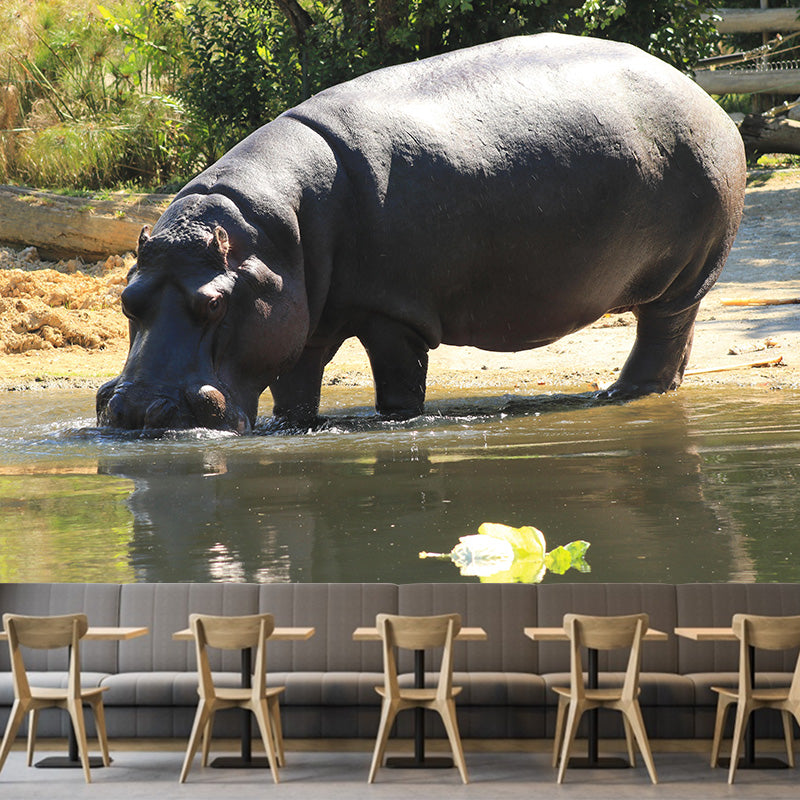 Photography Mural Wall Decor Hippo Mildew Resistant Living Room Wall Mural Wall Art