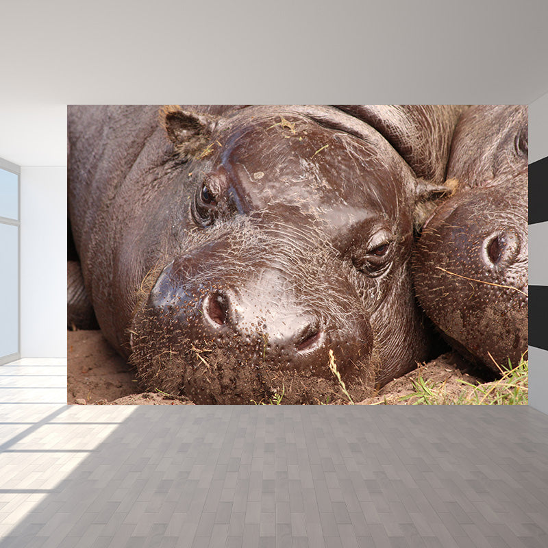 Photography Mural Wall Decor Hippo Mildew Resistant Living Room Wall Mural Wall Art